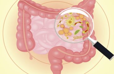 Why Is It Important to Get Rid of Gut Microbes?